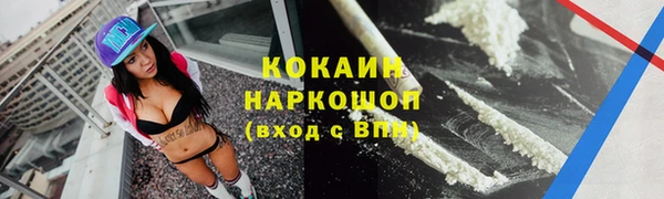 сатива Козловка