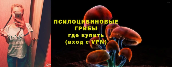мяу мяу кристалл Корсаков