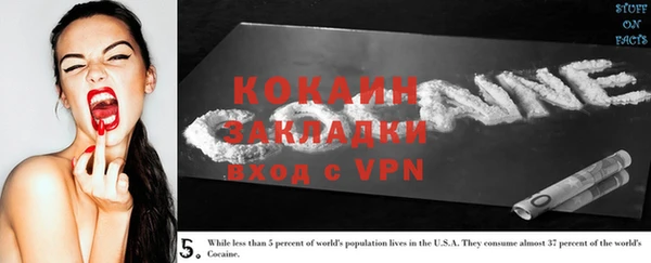 сатива Козловка