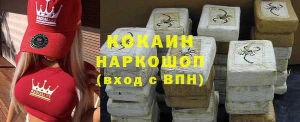сатива Козловка