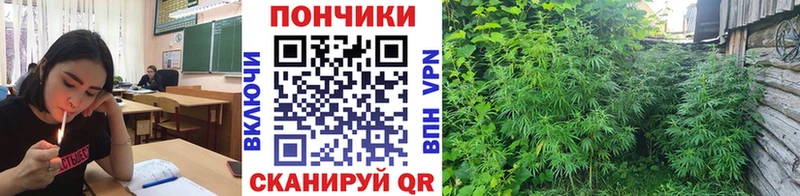 Бошки Шишки марихуана  Купить где  Инза 